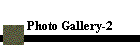Photo Gallery-2